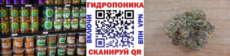 Купить закладки  Малгобек  Canna-Cookies марихуана 