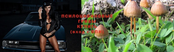 ГАЛЛЮЦИНОГЕННЫЕ ГРИБЫ Инта