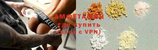 ГАЛЛЮЦИНОГЕННЫЕ ГРИБЫ Инта
