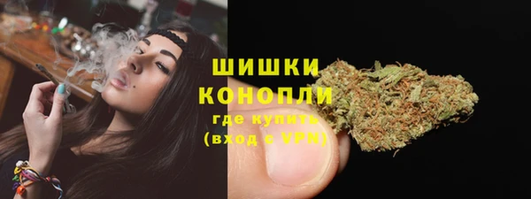 ECSTASY Инсар