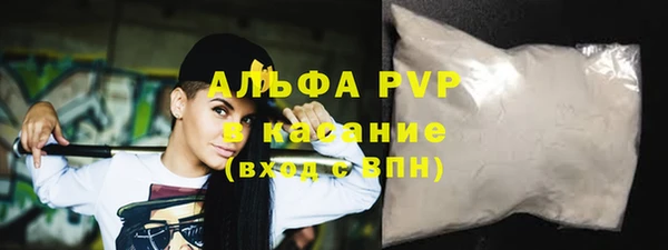 ECSTASY Инсар