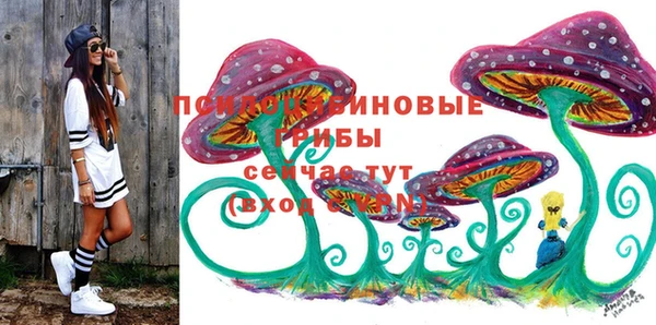 ГАЛЛЮЦИНОГЕННЫЕ ГРИБЫ Инта