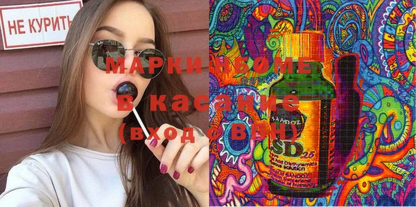 ECSTASY Инсар