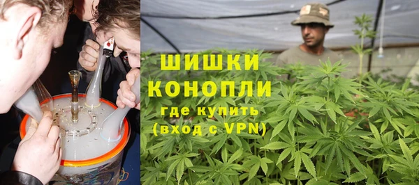 ГАЛЛЮЦИНОГЕННЫЕ ГРИБЫ Инта