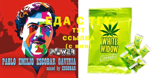 ECSTASY Инсар