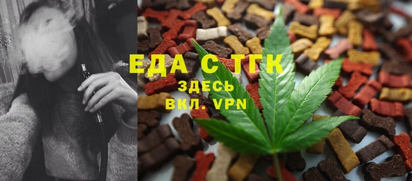 ГАЛЛЮЦИНОГЕННЫЕ ГРИБЫ Инта