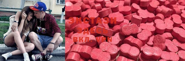 ГАЛЛЮЦИНОГЕННЫЕ ГРИБЫ Инта