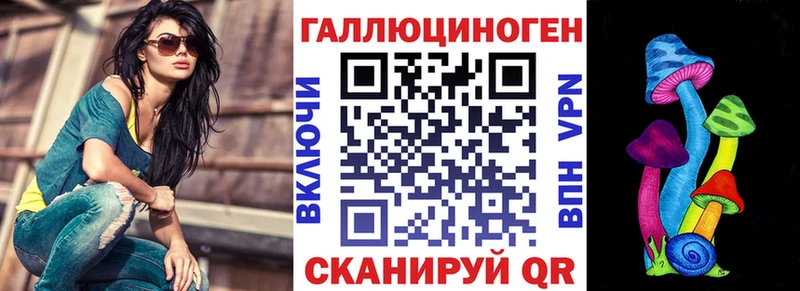 Купить где  Малгобек  Галлюциногенные грибы GOLDEN TEACHER 