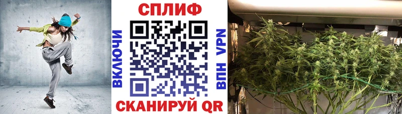 Купить где  Малгобек  Марихуана конопля 